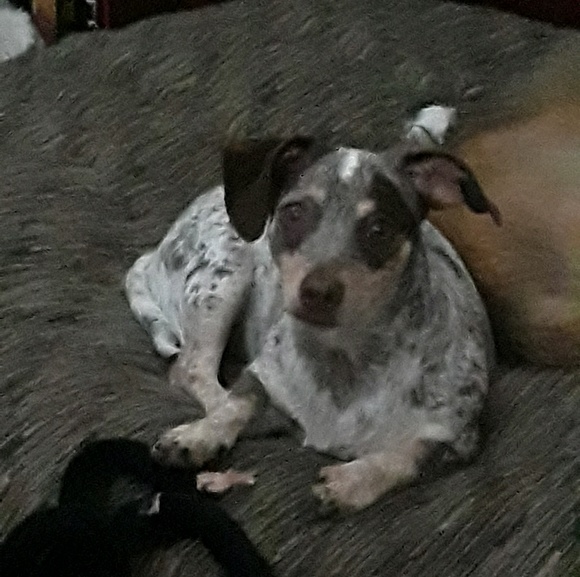 Meet your Posher, Lisa - Picture 1 of 1